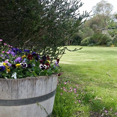 Padthaway Caravan Park Eksteriør billede